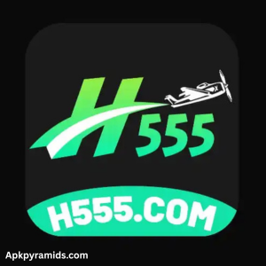 H555 Game